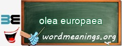 WordMeaning blackboard for olea europaea